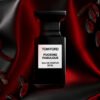 Fucking Fabulous Tom Ford