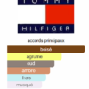 Impact de Tommy Hilfiger