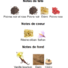 Babycat de Yves Saint Laurent