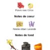 Invictus Victory de Rabanne